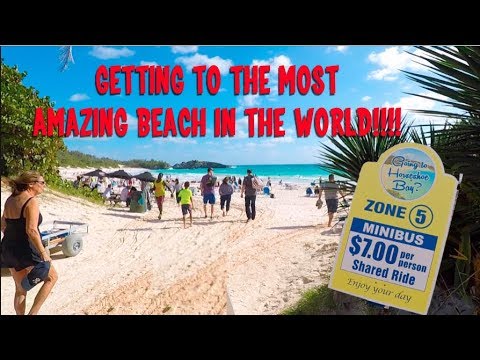 Horseshoe Bay Bermuda - Very unOfficial Travel Guide to the World's Best Beach!