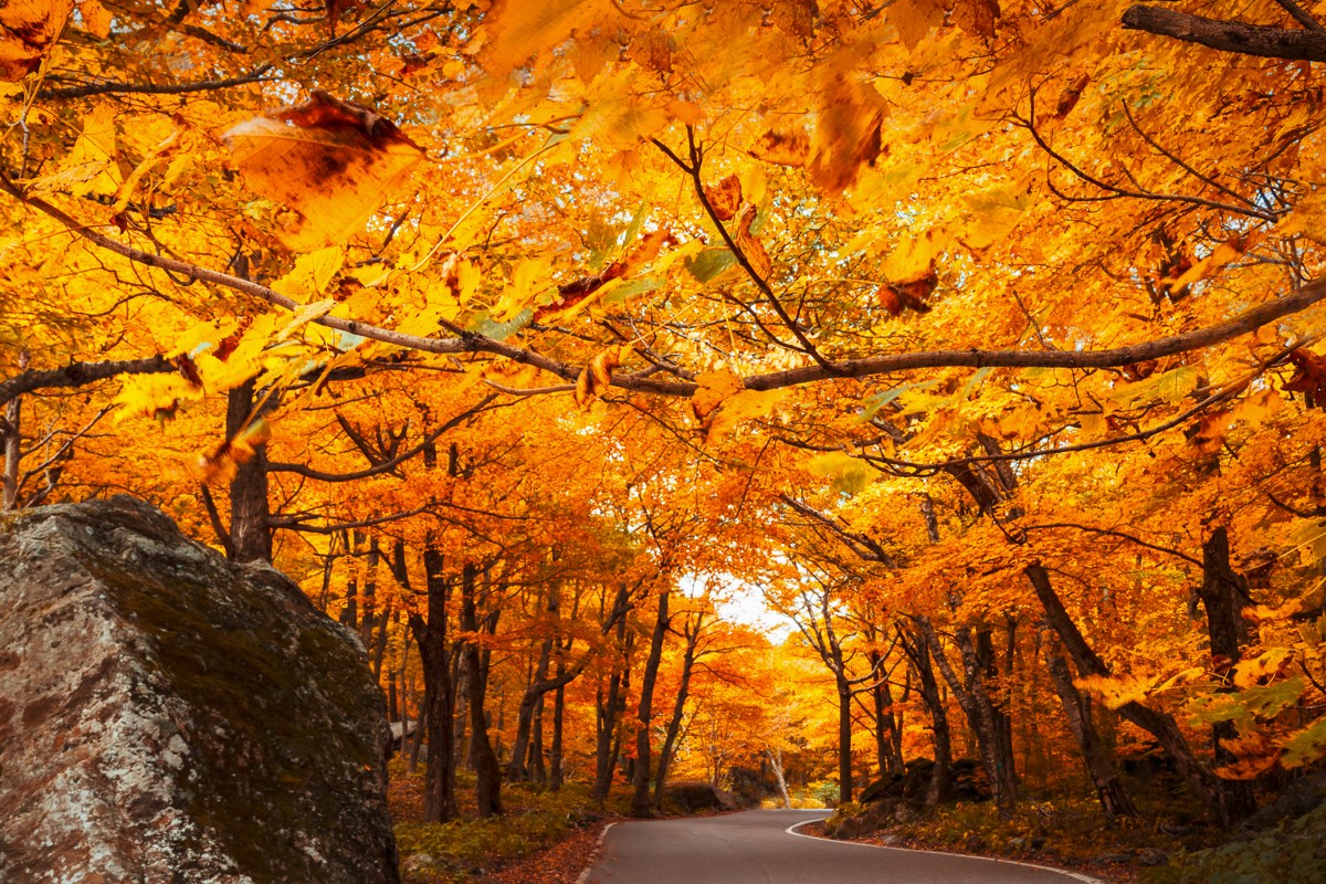 Top 10 Places To See Fall Foliage In The United States