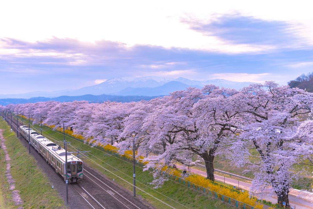 Free rail pass and travel products in Tohoku, Japan with Klook